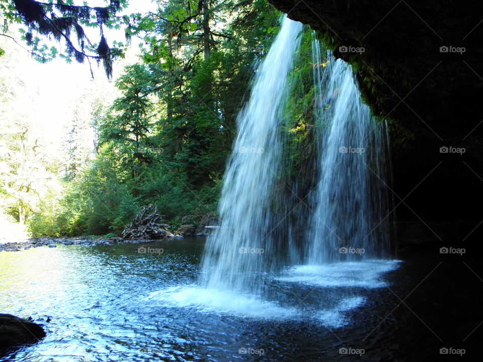 Waterfall, Water, River, Wood, Nature