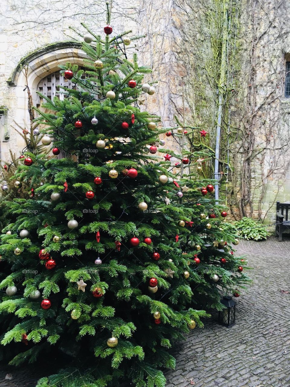 A traditional English Christmas tree set against the backdrop of Hever castle in Kent. 