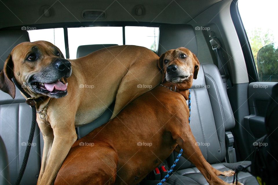 Her baby boy has lived at home too long and apparently rides her because of her unconditional love