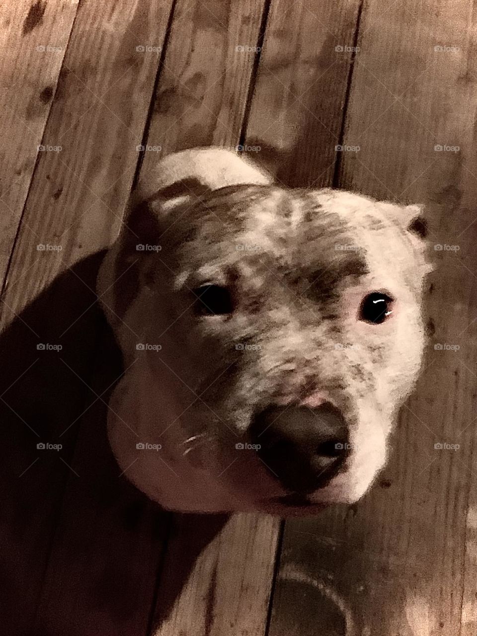 Playin in the swamp !!!!!!