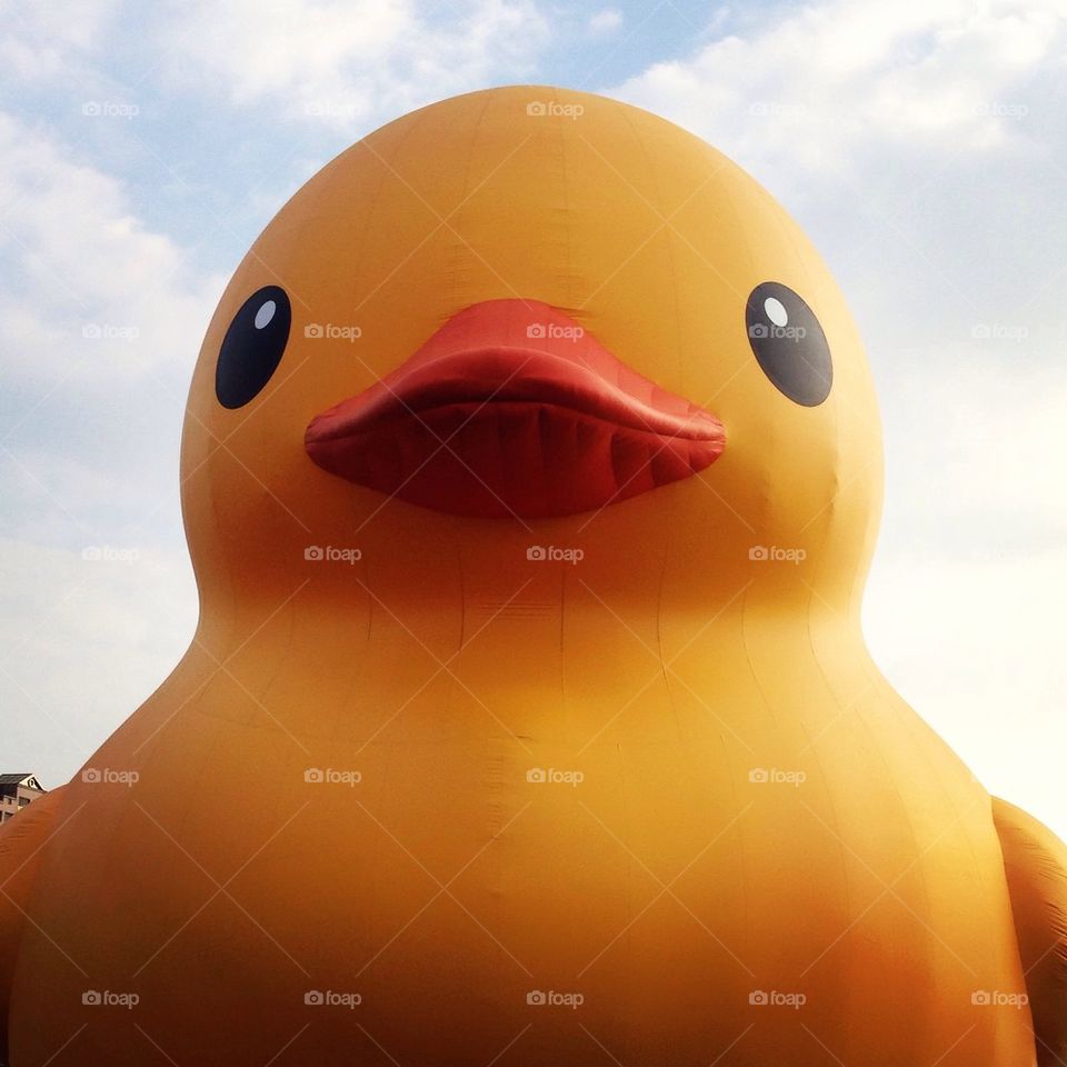 Giant Duck 