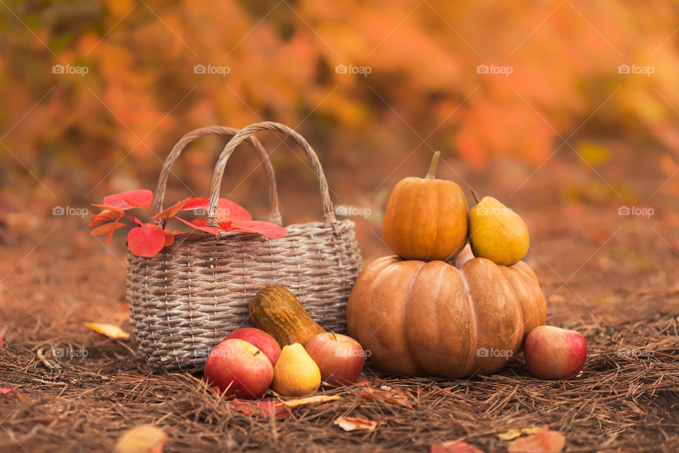 Still life of autumn fresh vegetables and fruits with basket 