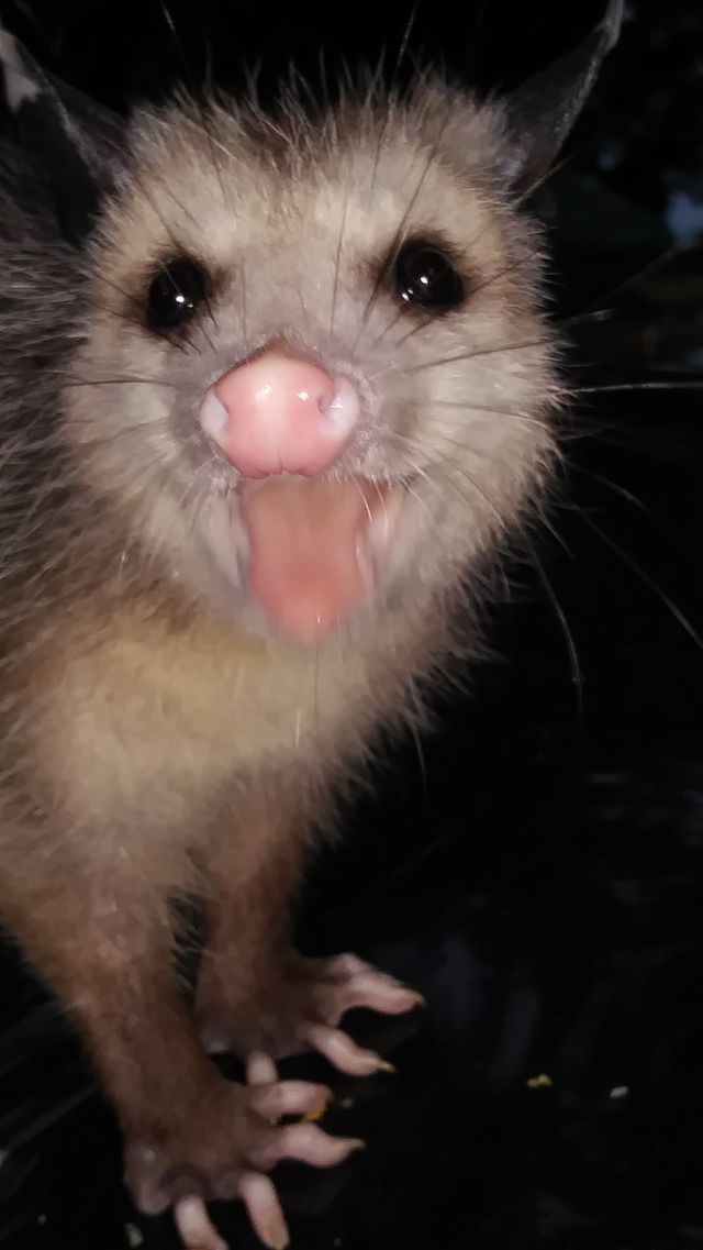 the baby