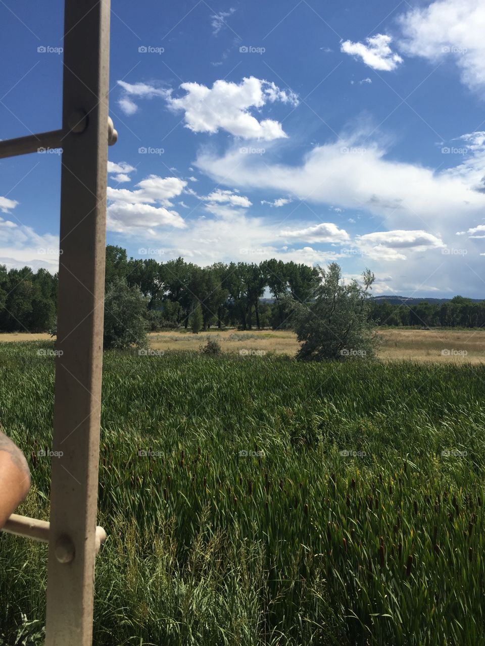 No Person, Agriculture, Farm, Landscape, Tree