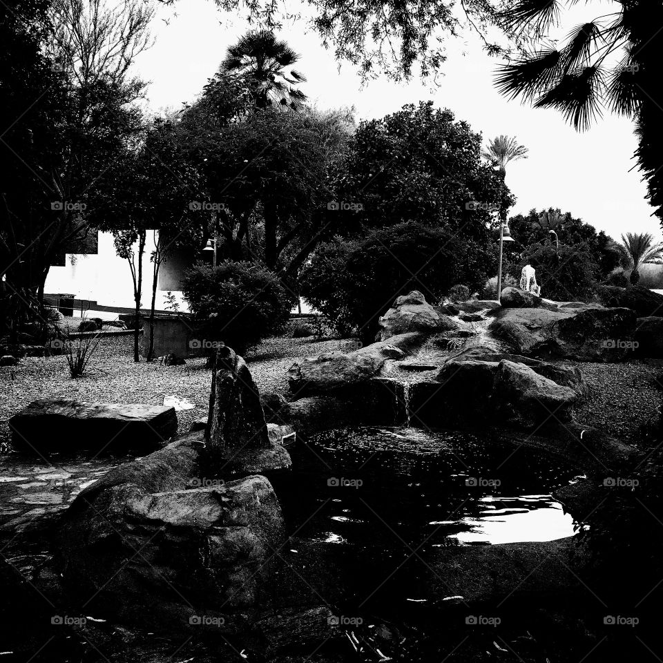 Black and white photo of a fountain found while walking through a park in Scottsdale, Arizona. 