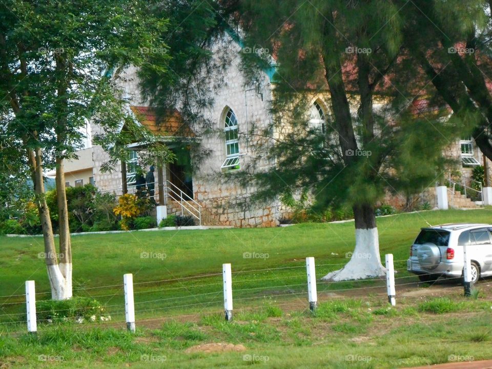 Church Among Trees