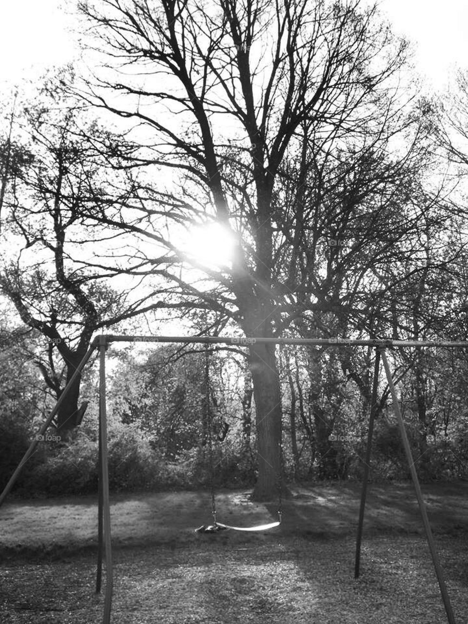 Swinging in Black and White