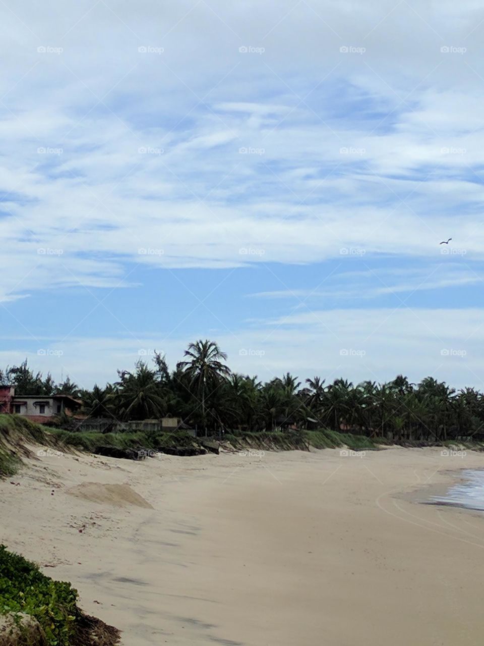 baby blue skies / cielo azul celeste