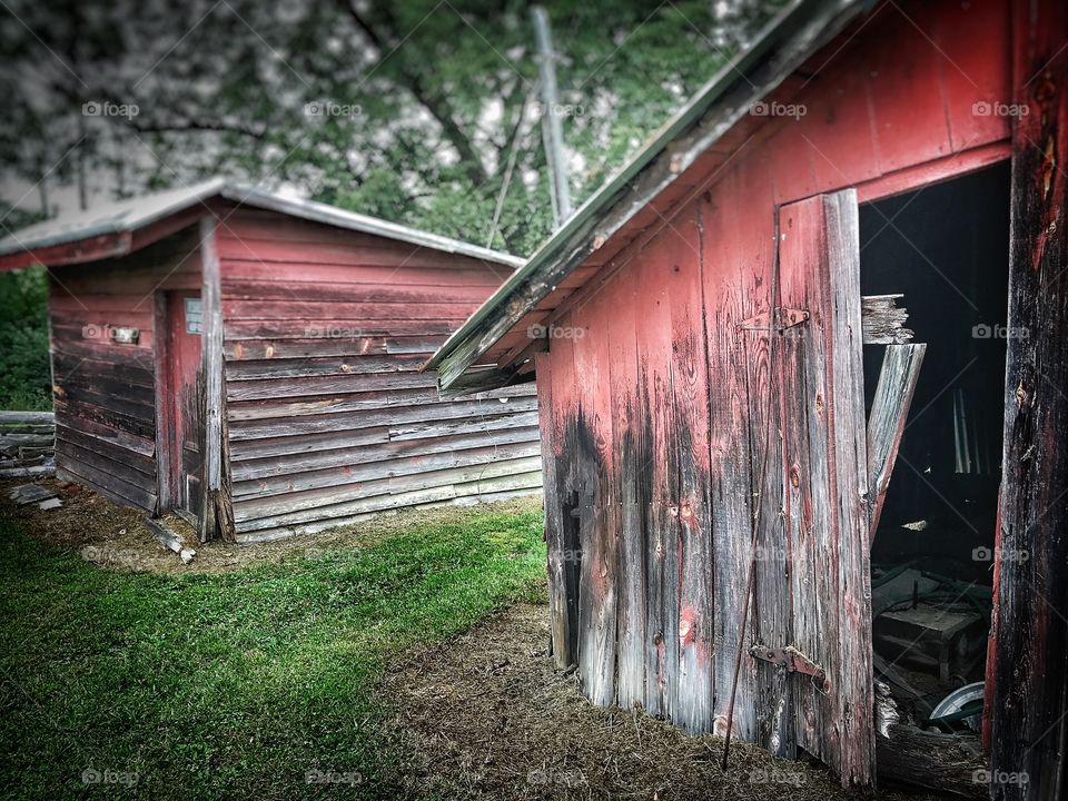 Old shed 