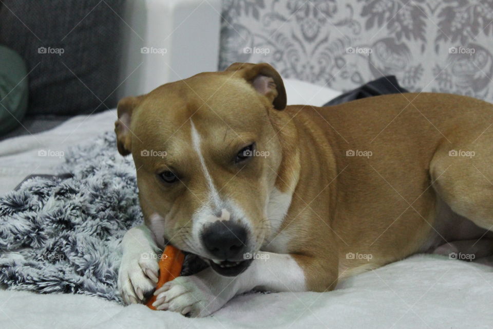 Ronni Christmas present 