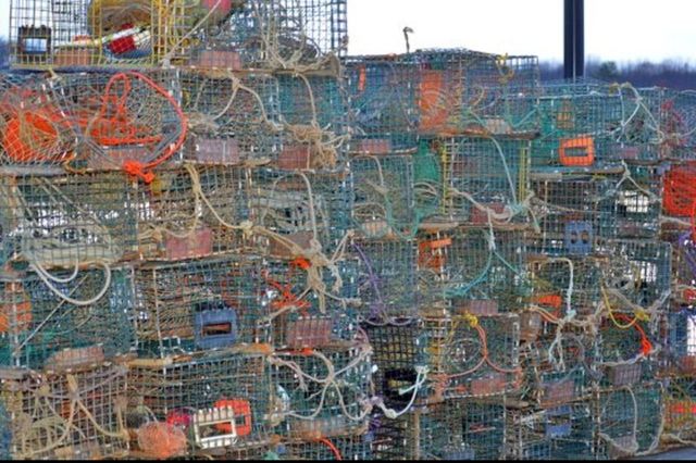Lobstering