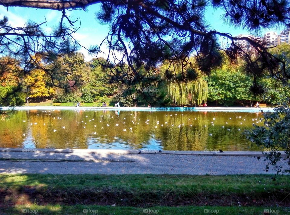 at a lake у озера