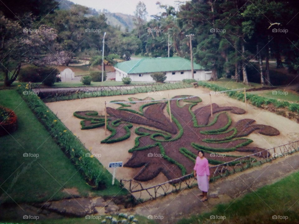 Beauty of plants