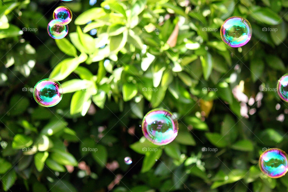 Bubbles 