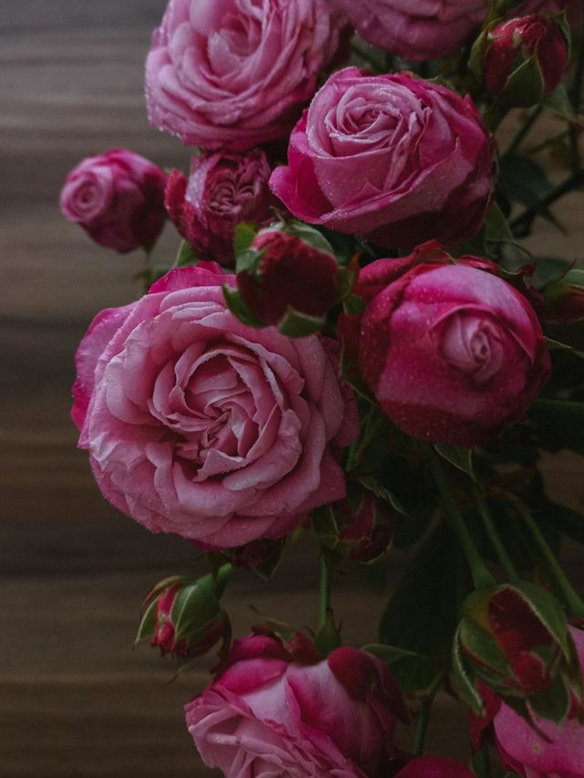 pink&brown