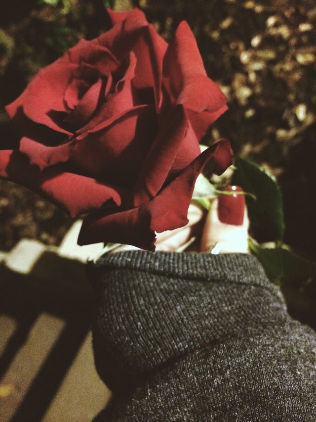 Valentines day 