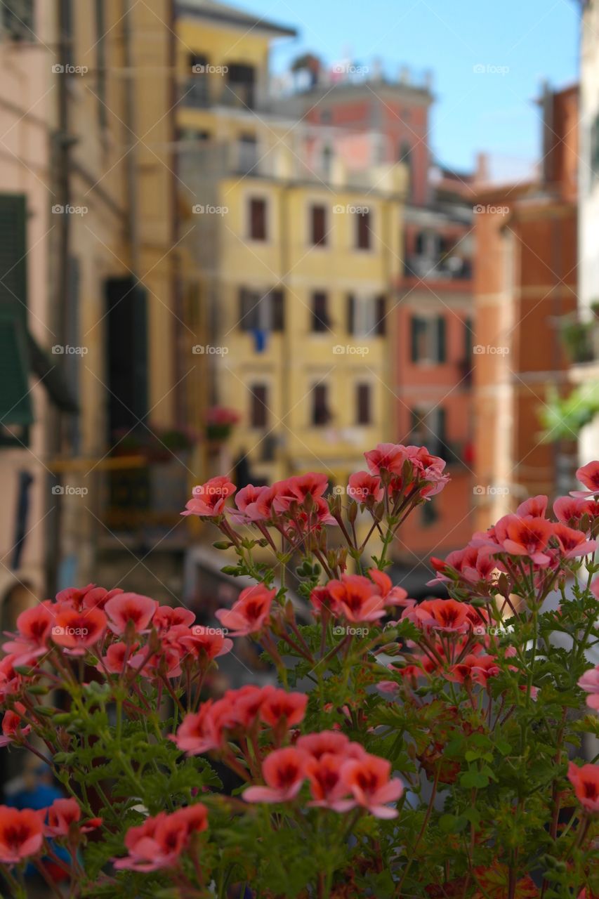 Cinque Terre 