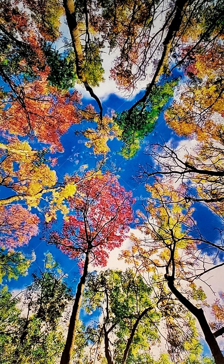 Mother Nature paints the season in beautiful colors
