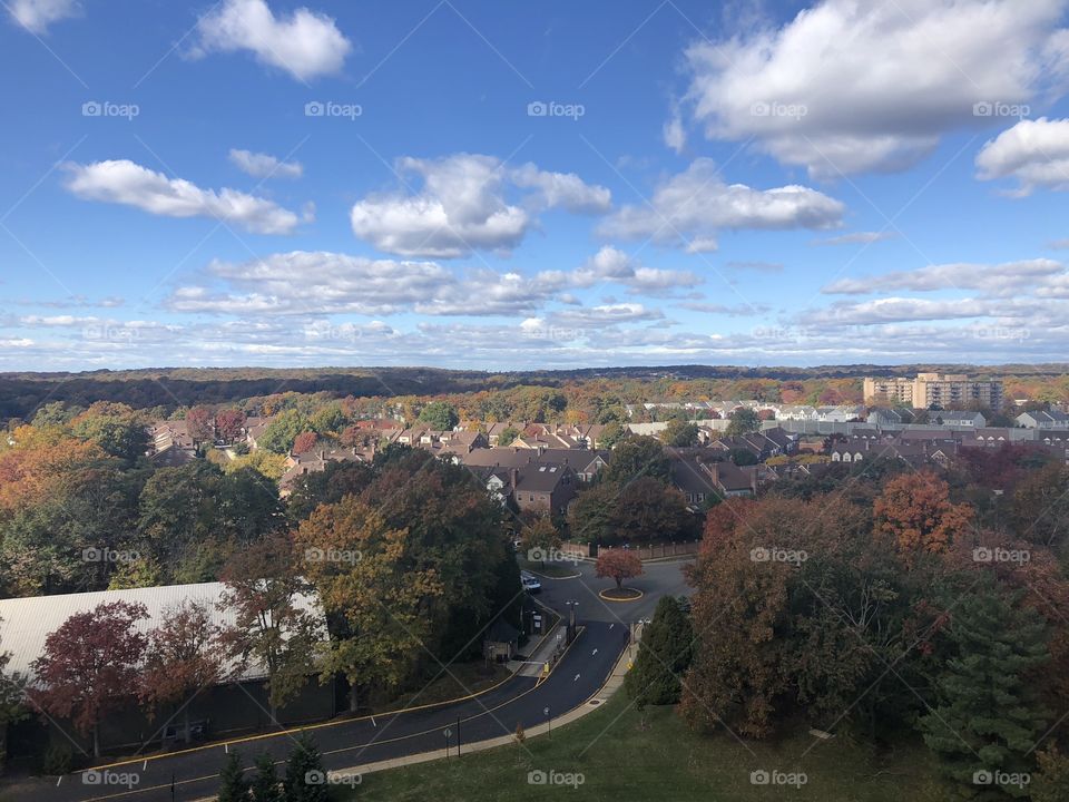 Fall day with a bright blue sky and beautiful clouds 