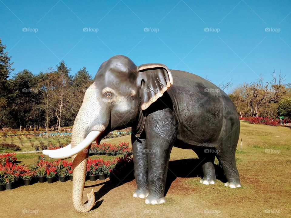 elephant statue