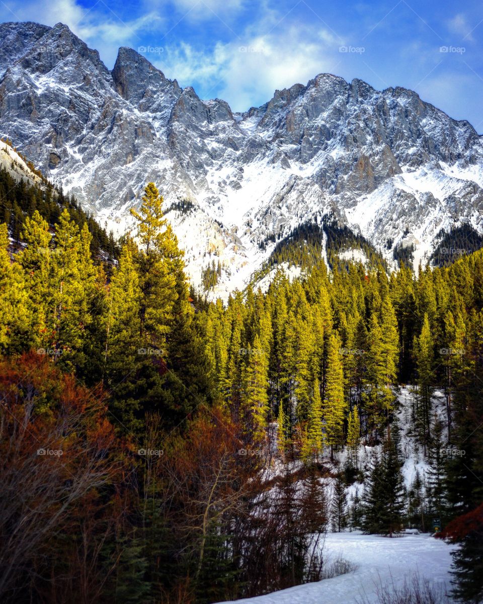 Wood, Snow, Mountain, Scenic, Landscape