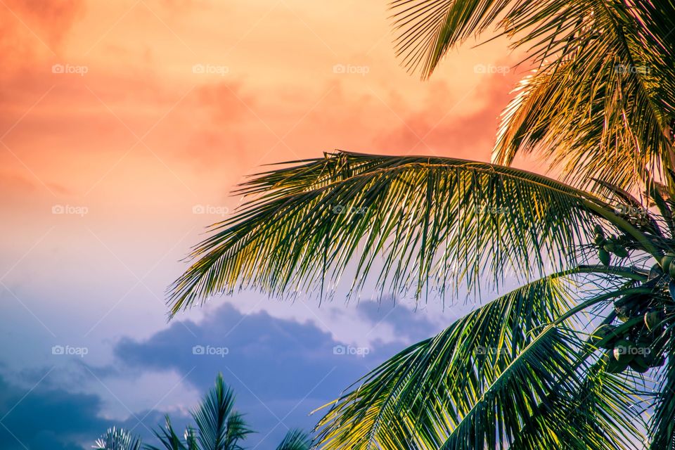 Sunset At Mauritius.