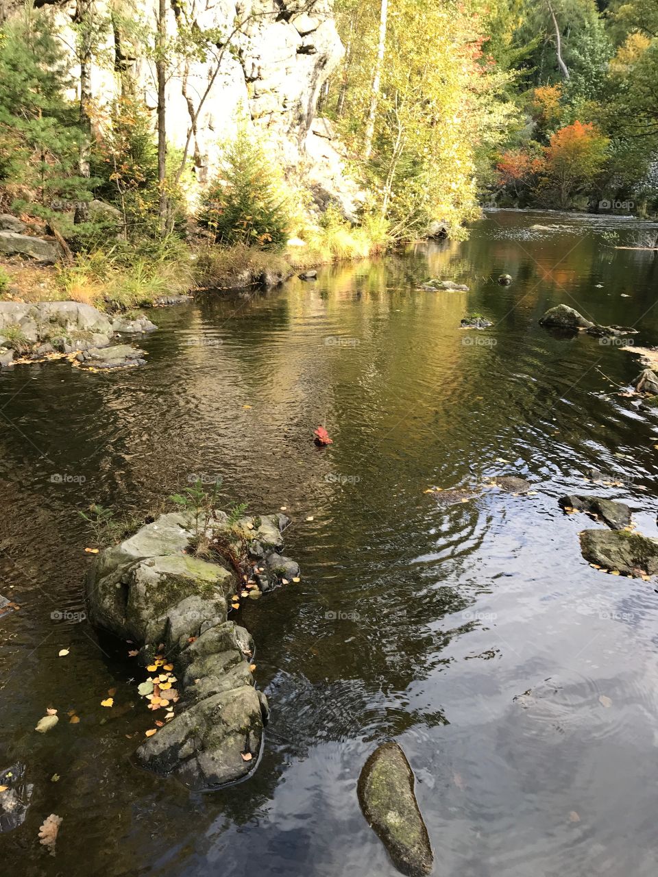 Oker - Harz 