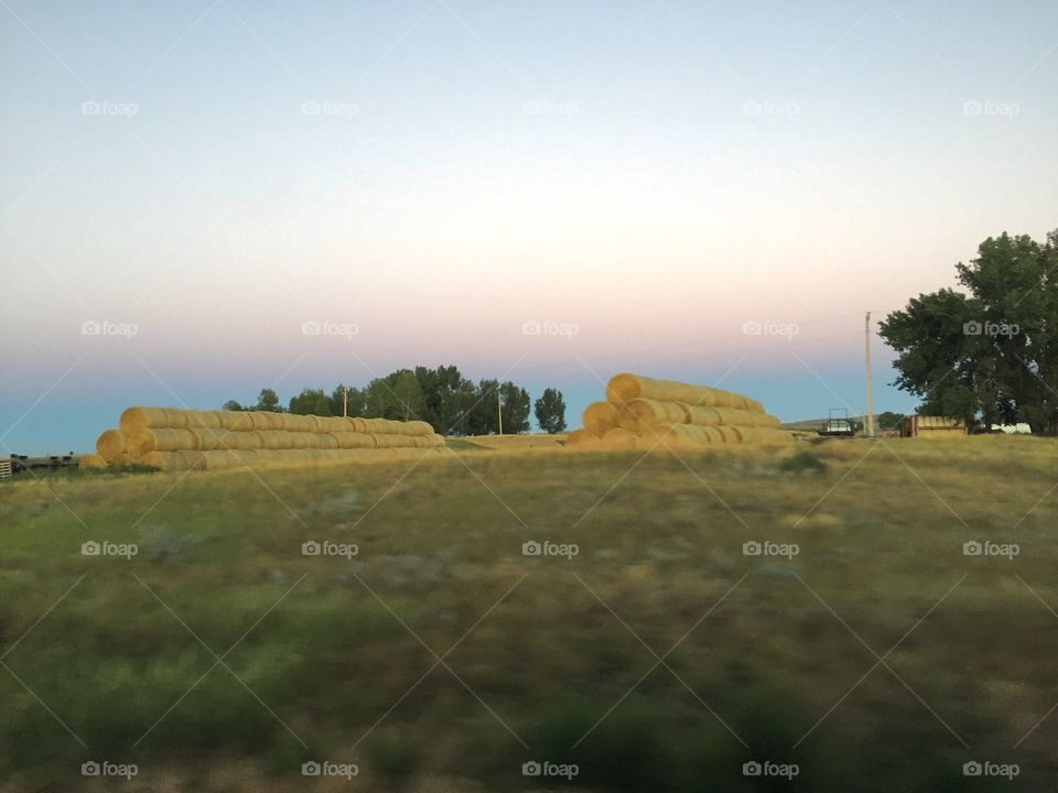 Landscape, Sky, No Person, Grass, Agriculture