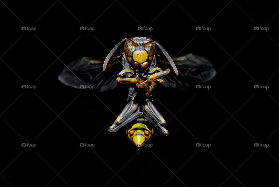 amazing 'image 'photography 'originalcontent