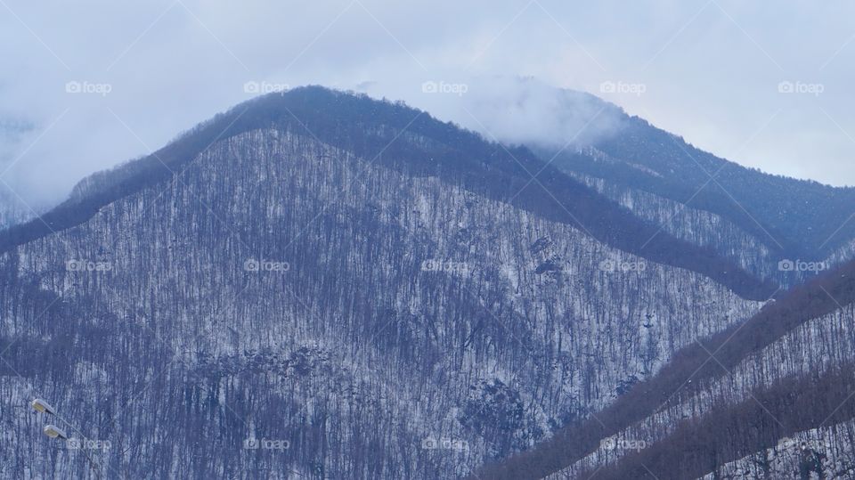 Scenic view of mountain