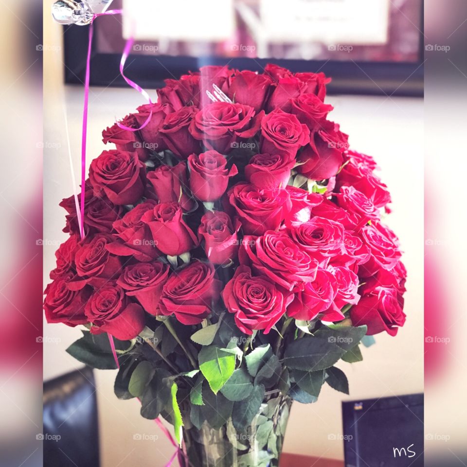 Rosas rojas- These are beautiful. Anyone and everyone deserves to get roses, for or for no reason at all. Just make someone’s day. Do it. 