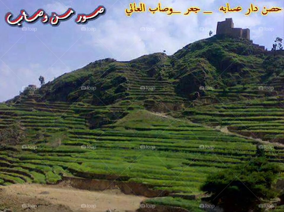 Glory be to God, the magnificent and picturesque view and the natural green trees are a view that is nothing more wonderful than it