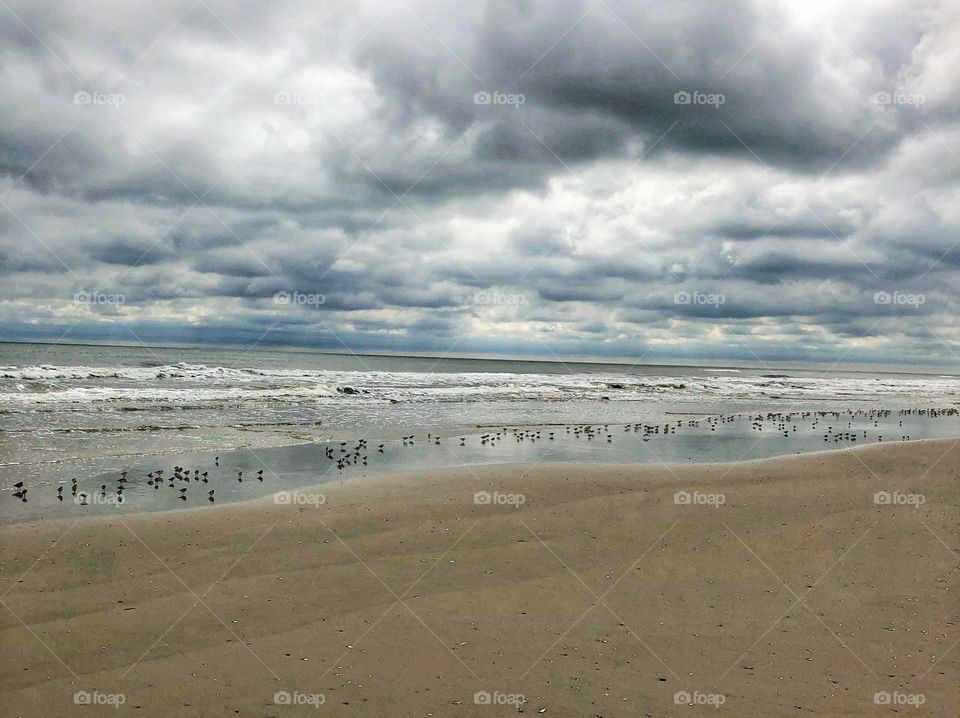 Cloudy day at the beach with birds in the surf