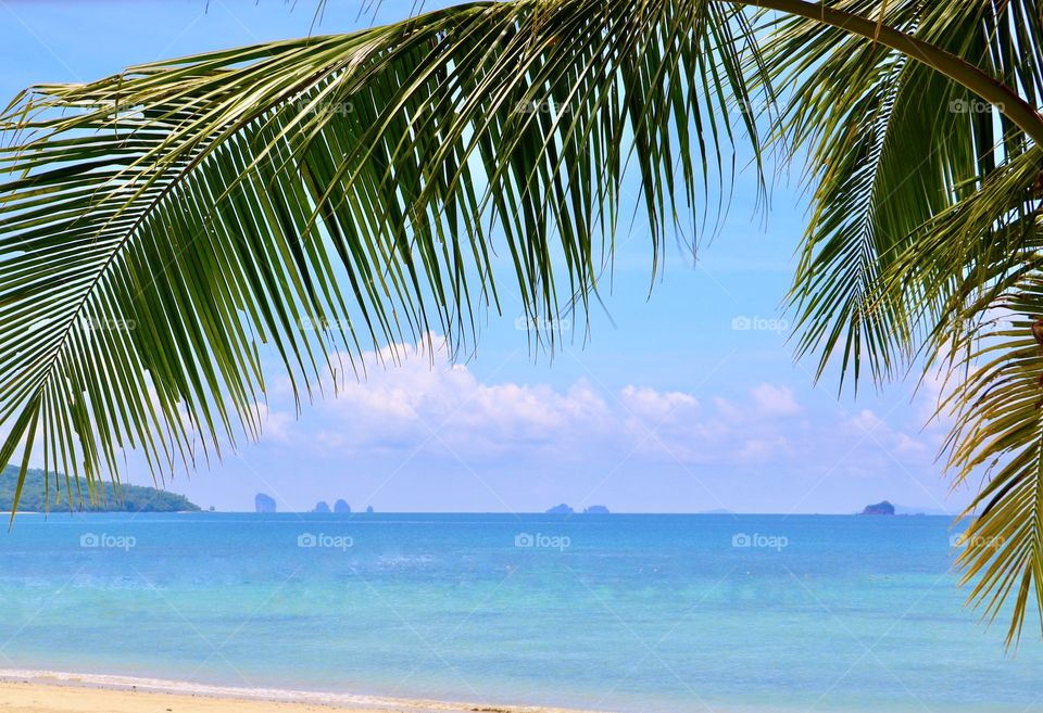 Krabi and all of it's beauty.