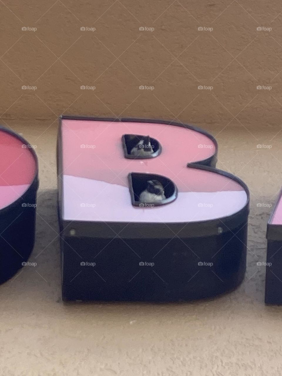 Birds in a B 