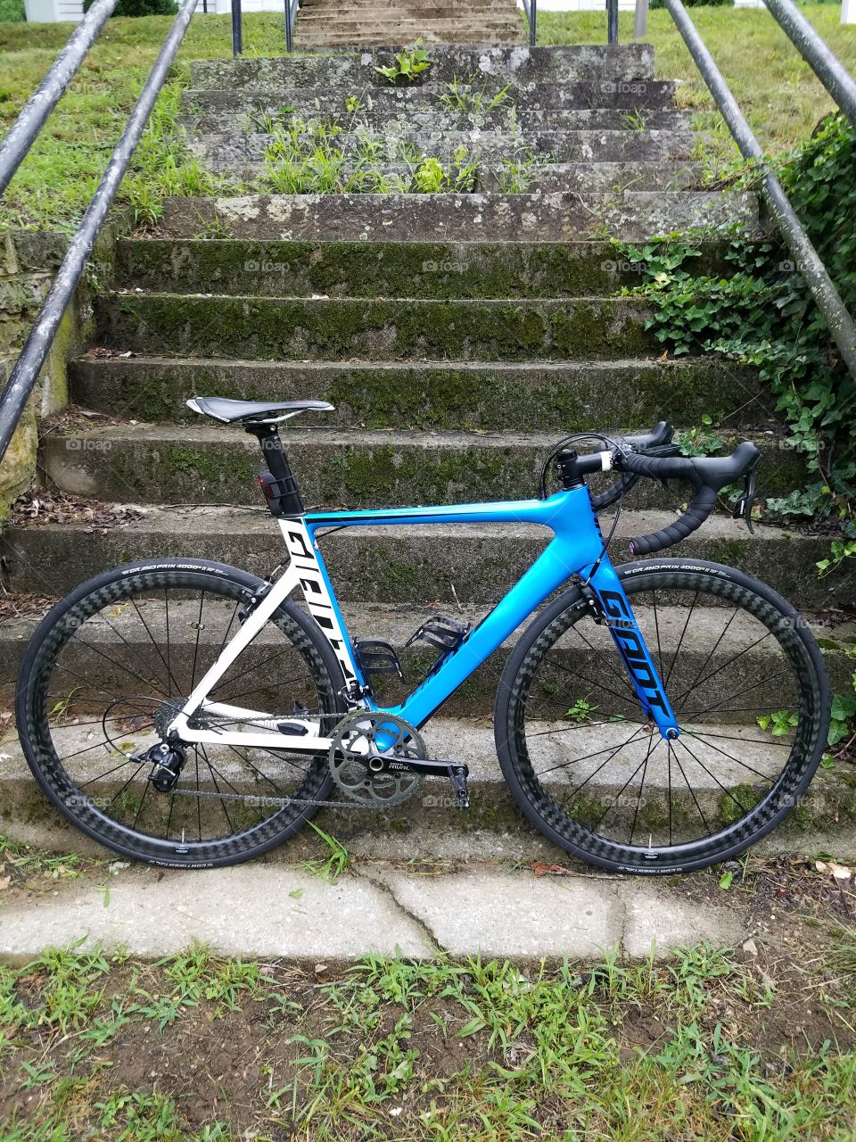 Giant Propel