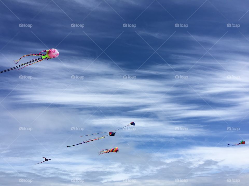 Kites