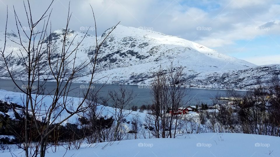 Winter Fjord views