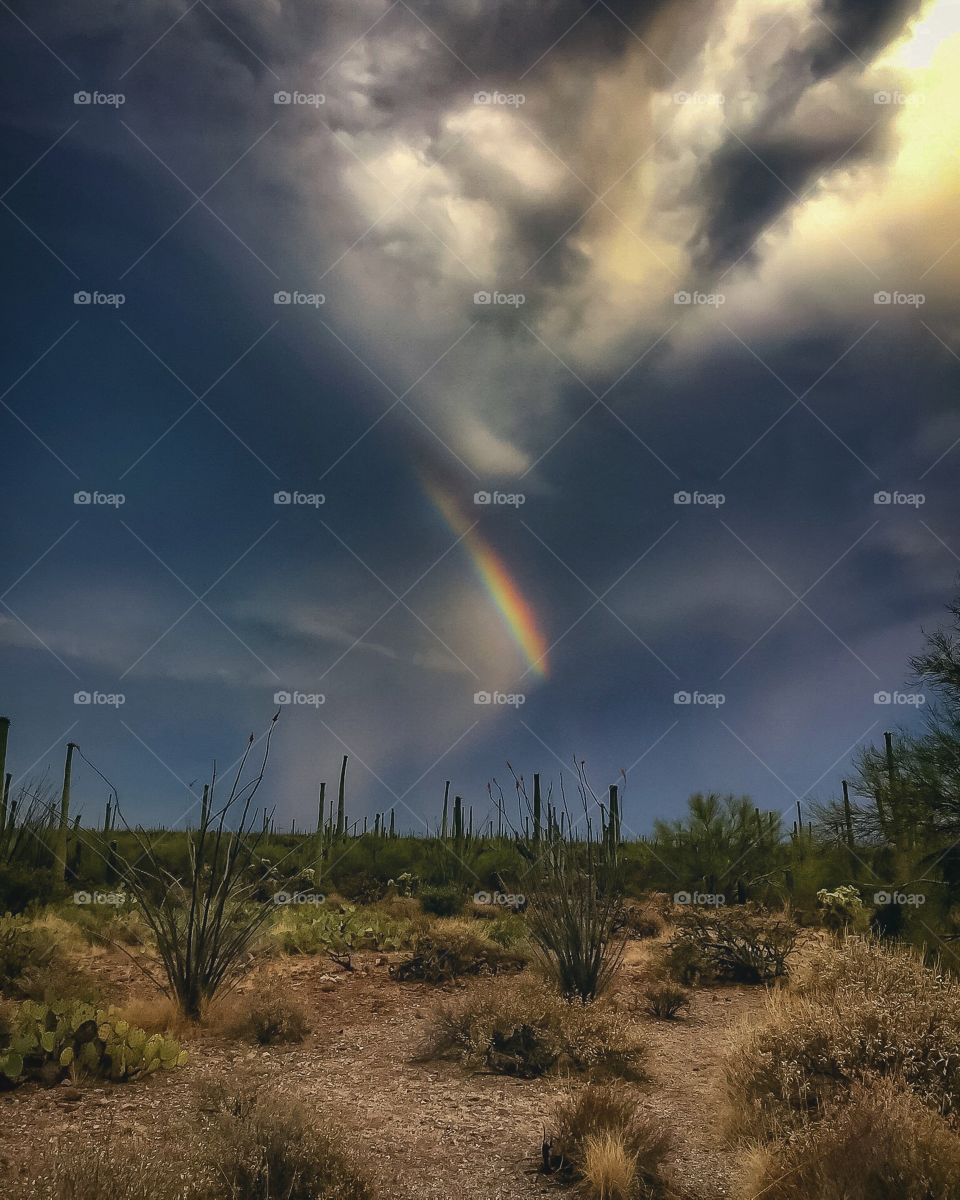 Desert Sky - Rainbow 