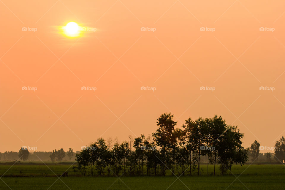 View of thailand. sunset 