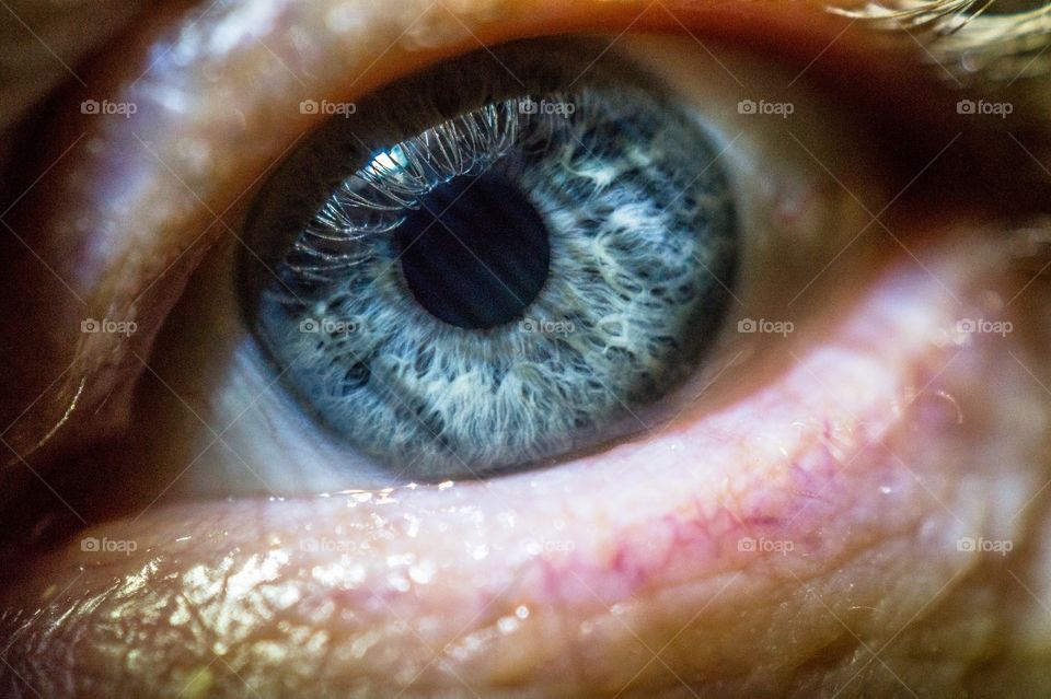 Detail of human eye