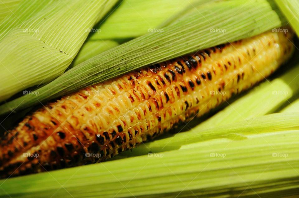 Close-up of grilled corn on the cob