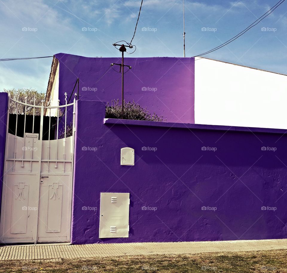 violet house
