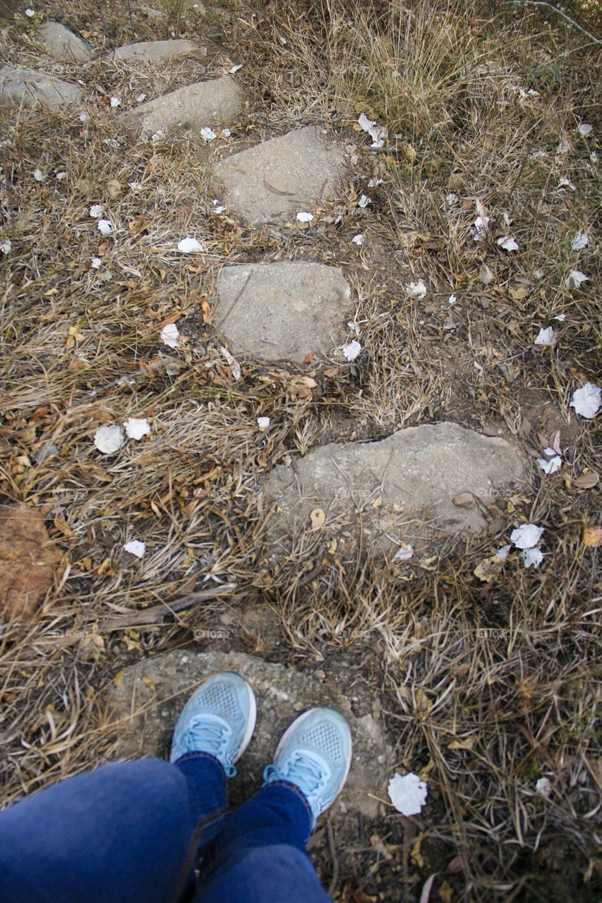 Pathway to where? New places exciting places. This pathway was captured on a hike