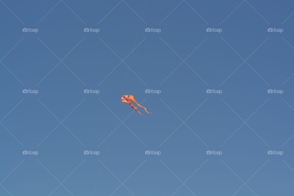 Kite in the sky over the beach in Galveston Texas