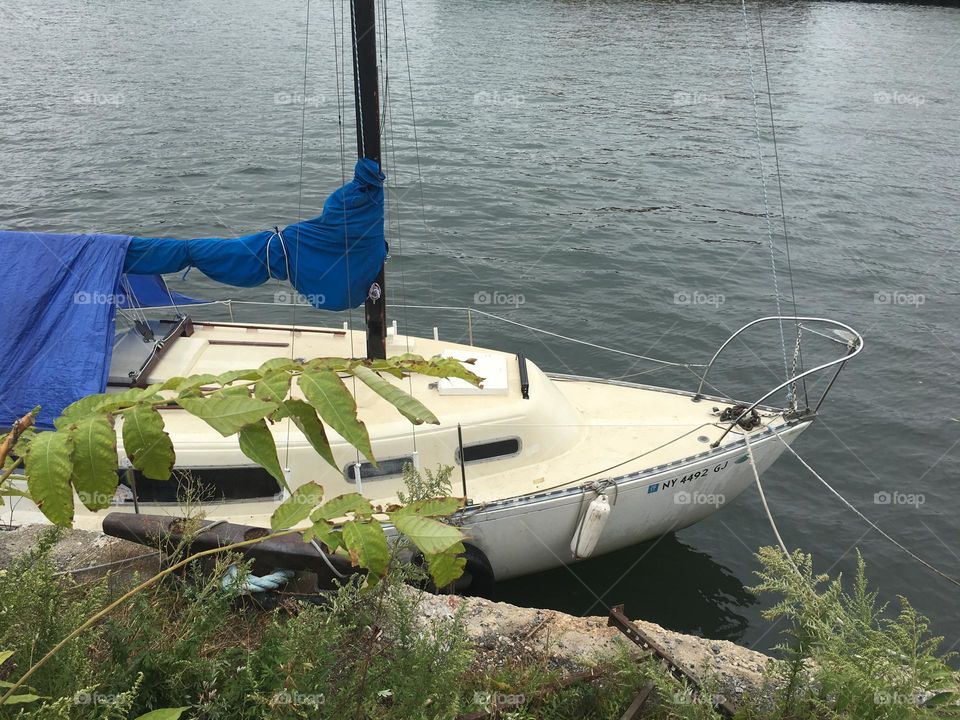 Our sailboat, the „Salvation“ once again seen from the shore at Newtown Creek in Long Island City, Queens, NY with leaves of bushes ashore blowing gently in the wind. 2018. Hypnotic Productions
