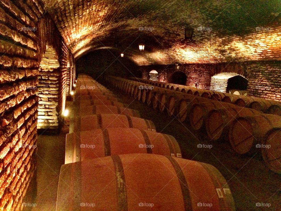 Wine barrels. Concha y Toro - Chile
