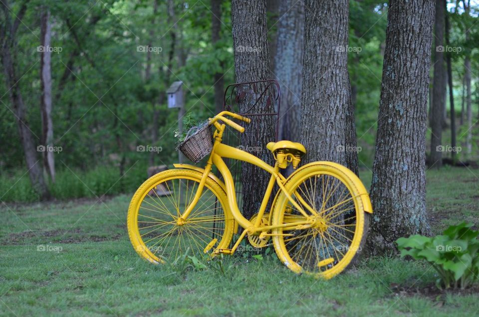 Yellow bicycle