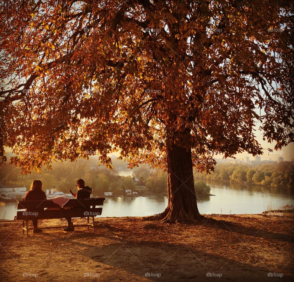 One sunny day in Belgrade