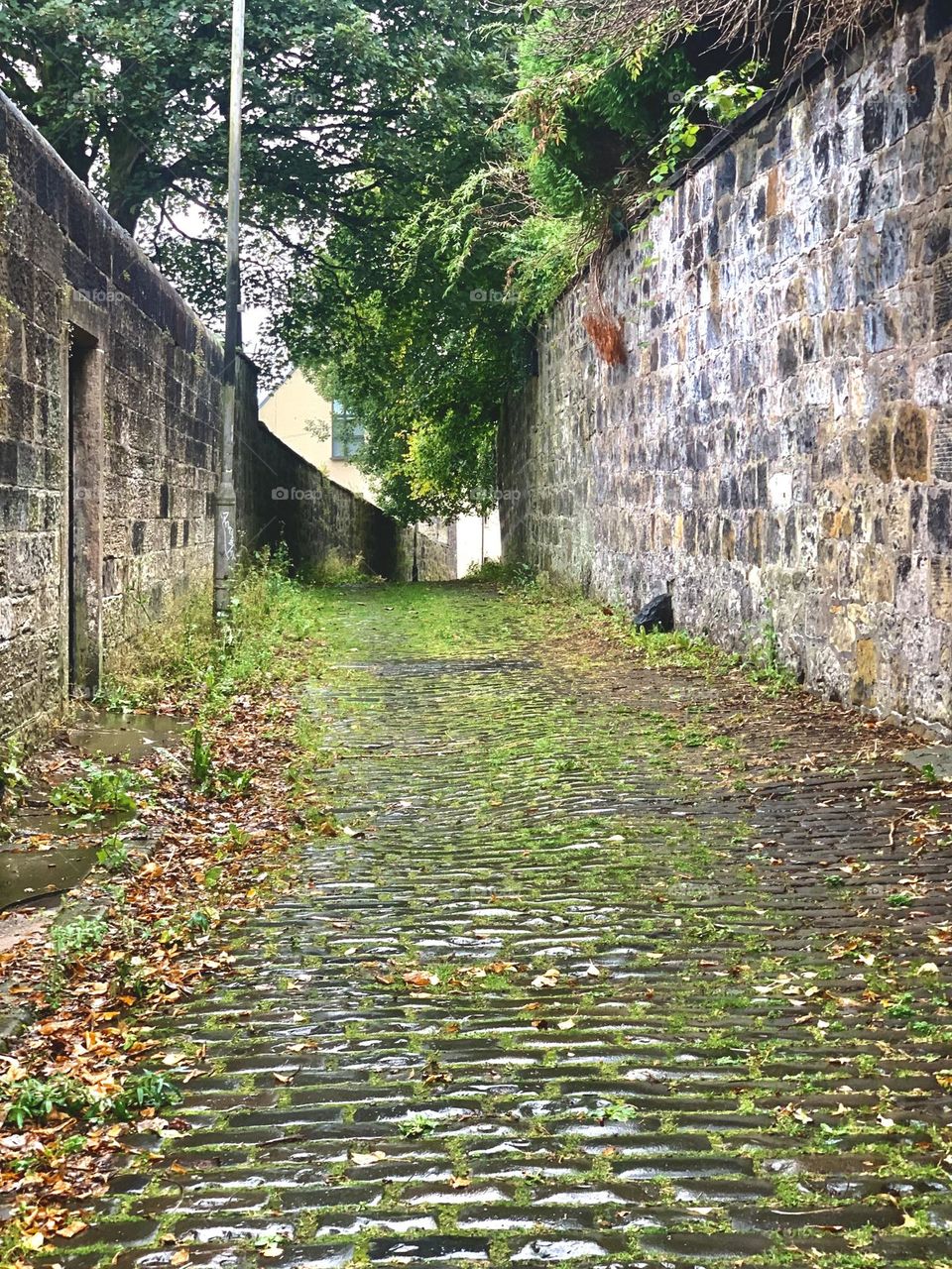 Old street in autumn